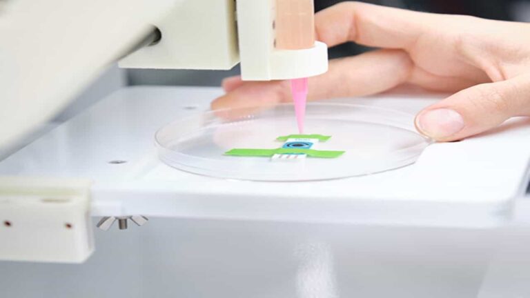 3D Baskı ile Kas Dokusu Üretimi İçin Yenilikçi Bir Teknik Geliştirildi
