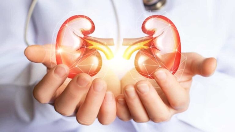 Yapay Böbrek İmplantı Böbrek Yetmezliği Hastalarının Geleceğini Değiştirebilir