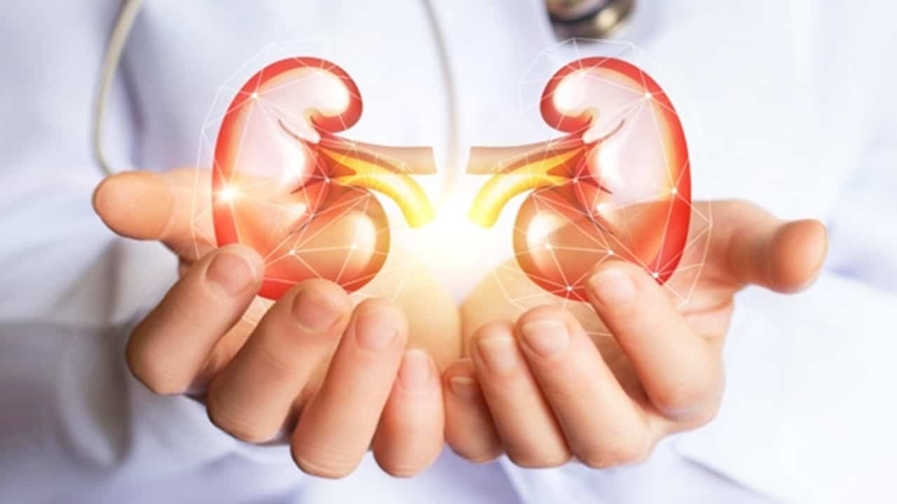 Yapay Böbrek İmplantı Böbrek Yetmezliği Hastalarının Geleceğini Değiştirebilir