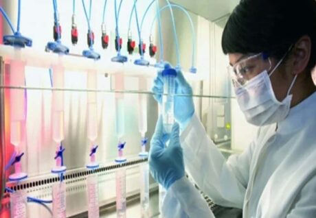Harvard Wyss Enstitüsü Araştırmacıları Melanom Tedavisinde Devrim Yaratacak Yeni Mikroiğneli Yama Geliştirdi