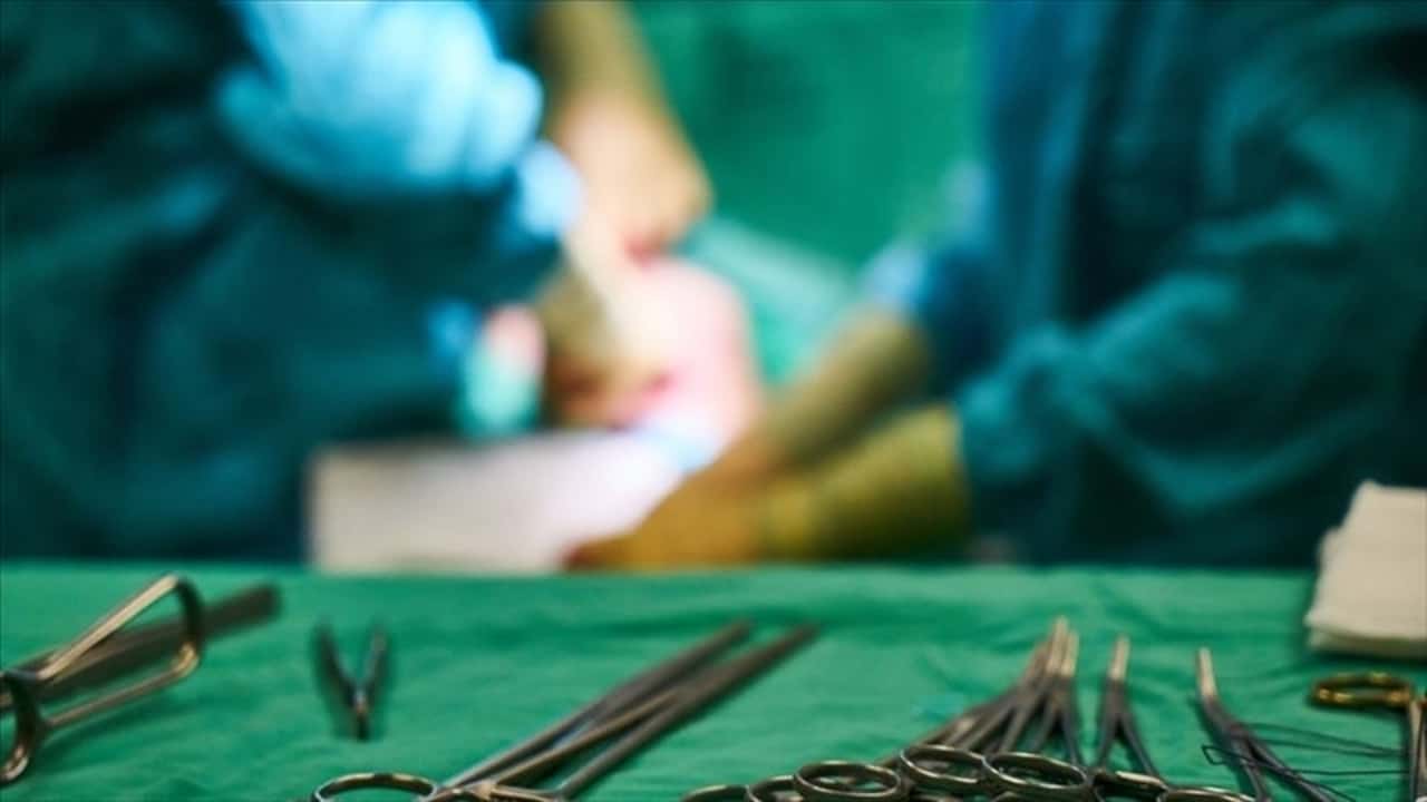 Ölmek Üzereyken Domuz Kalbi ile Hayata Döndü