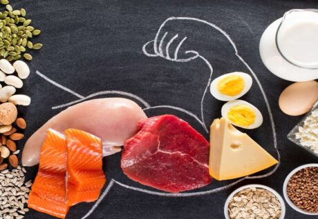 Protein Kaldıraç Hipotezi: Obeziteye Yeni Bir Bakış