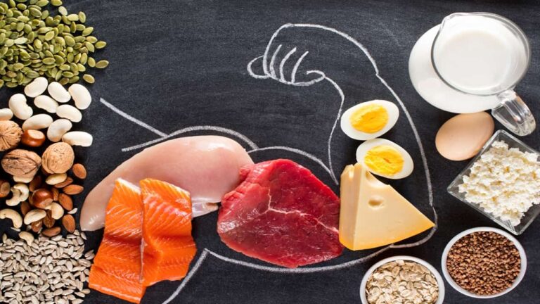Protein Kaldıraç Hipotezi: Obeziteye Yeni Bir Bakış