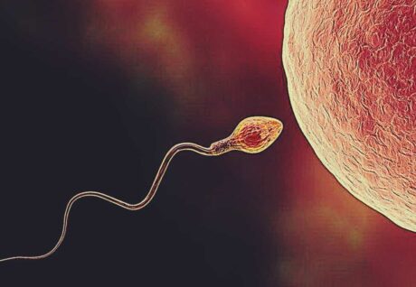 Yapay Zekâ Erkek Kısırlık Tedavisinde Sperm Tespitini 1000 Kat Hızlandıracak