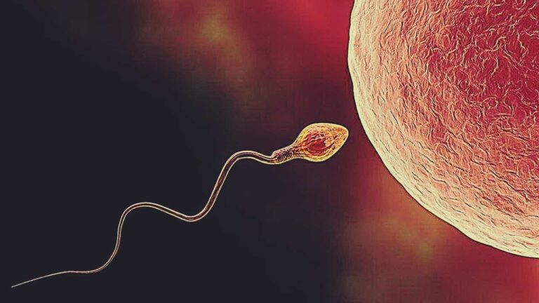 Yapay Zekâ Erkek Kısırlık Tedavisinde Sperm Tespitini 1000 Kat Hızlandıracak