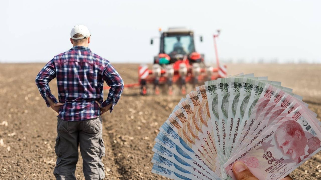 2024 Yılında Her Cuma Yatacak Olan Tarımsal Destek Ödemesi Tutarları Belli Oldu!