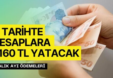 Aralık Ayı Aile Destek Ödemesi Tarihi! O Gün Hesaplara 2160 TL Yatırılacak