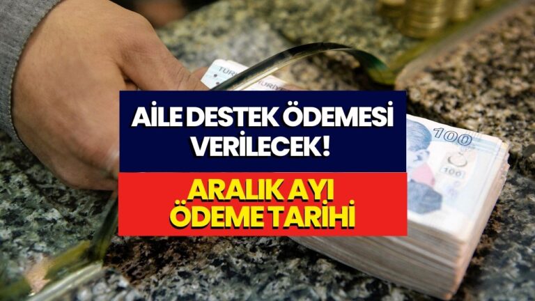 Aralık Ayında 3 Ödeme Birden Yatırılacak! Aralık 2023 Aile Destek Programı