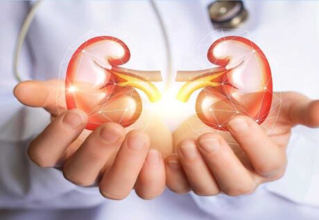 B2 Vitamini Türevleri Kronik Böbrek İltihabında Yeni Umut
