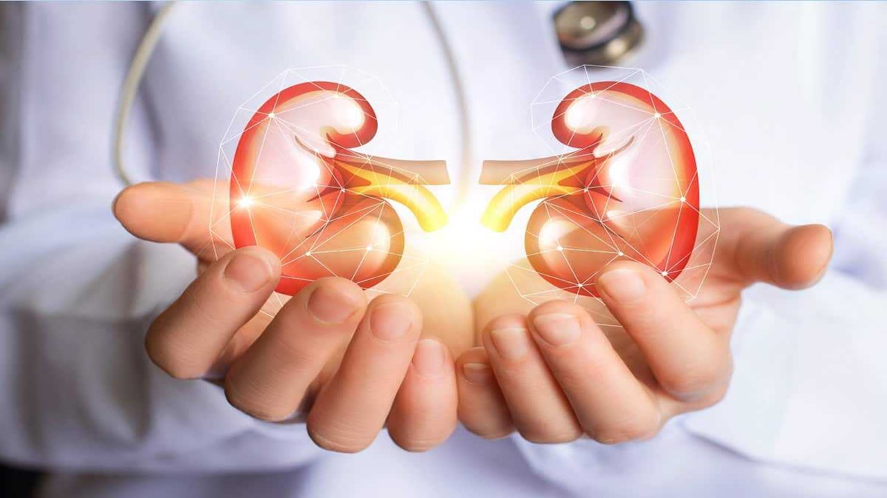 B2 Vitamini Türevleri Kronik Böbrek İltihabında Yeni Umut