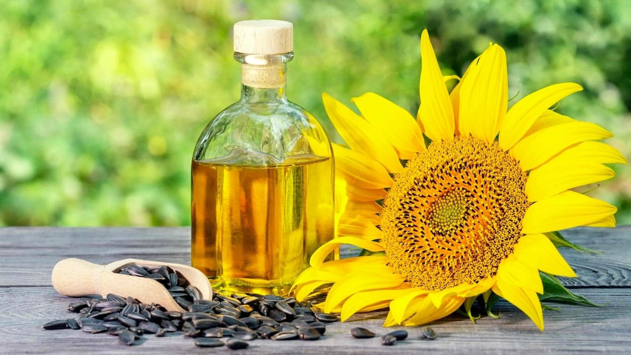 Bu İndirim Stok Yaptırır! 5 Litrelik Ayçiçek Yağında Aylardır Görülmeyen Fiyat