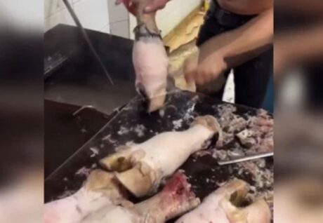 Adana’da Hijyenik Olmayan Sakatat İşletmesi Mühürlendi