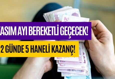 Mevduat Yarışı Kasım Ayında Kızıştı! 325000 TL’nin 32 Günlük Kazancı Rekor Kırdı