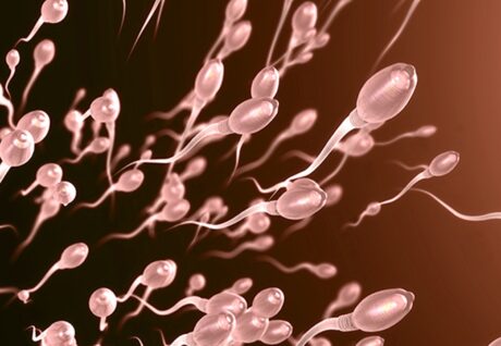 Bilim İnsanları Pestisit Maruziyeti Sperm Sayısını Düşürdüğünü Açıkladı