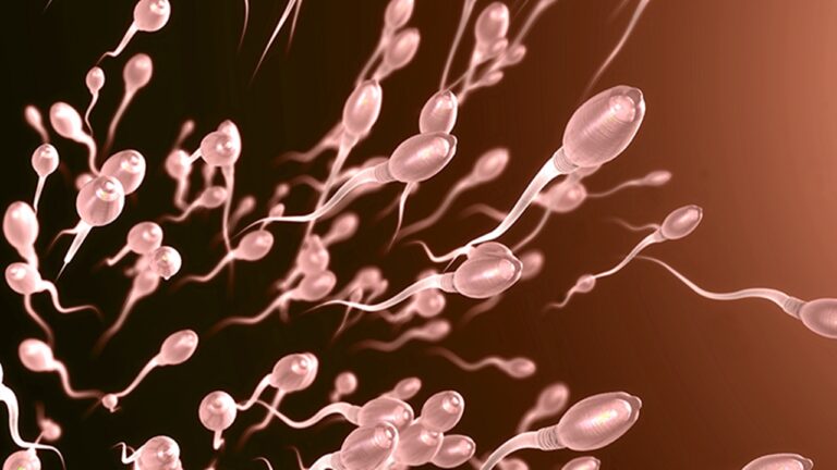Bilim İnsanları Pestisit Maruziyeti Sperm Sayısını Düşürdüğünü Açıkladı