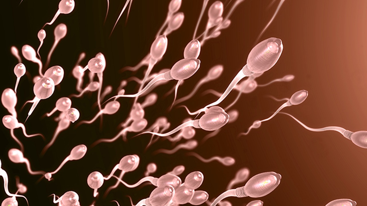 Bilim İnsanları Pestisit Maruziyeti Sperm Sayısını Düşürdüğünü Açıkladı