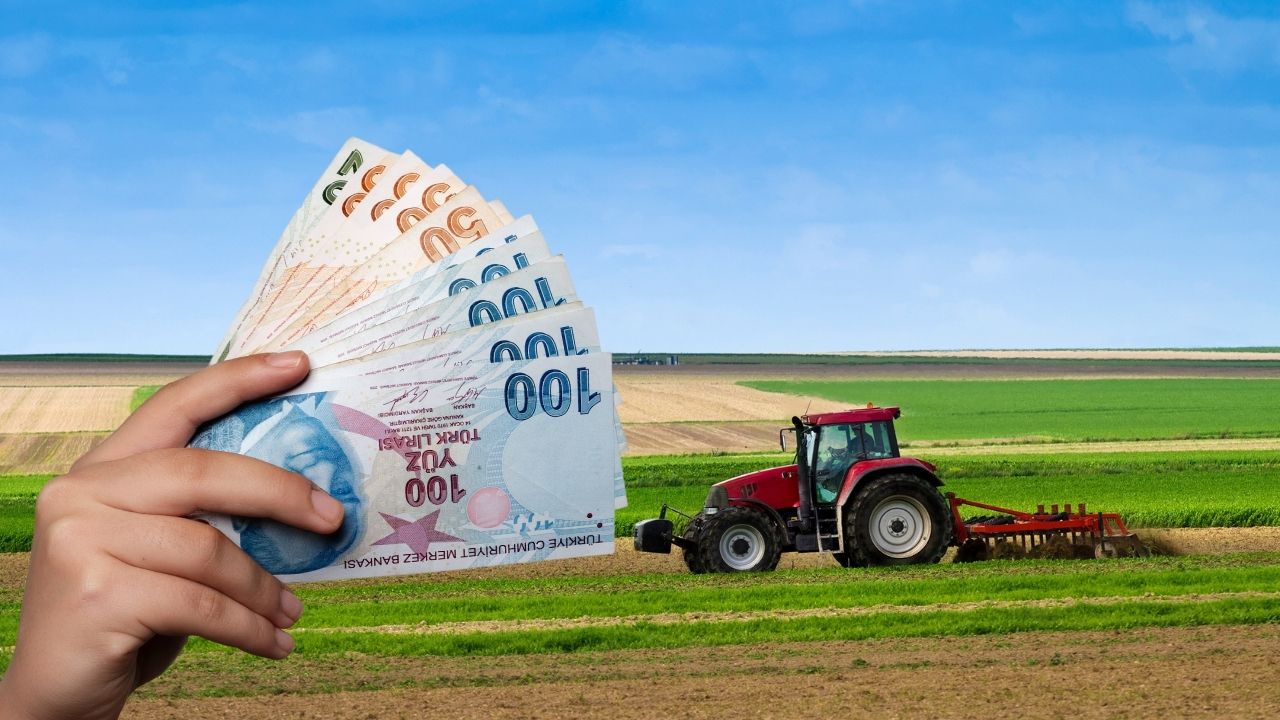 Ağaç Başına 450 TL Destek! Tarım Bakanlığı Açıkladı